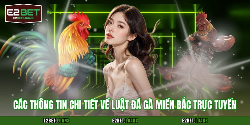 Các thông tin chi tiết về luật đá gà miền Bắc trực tuyến