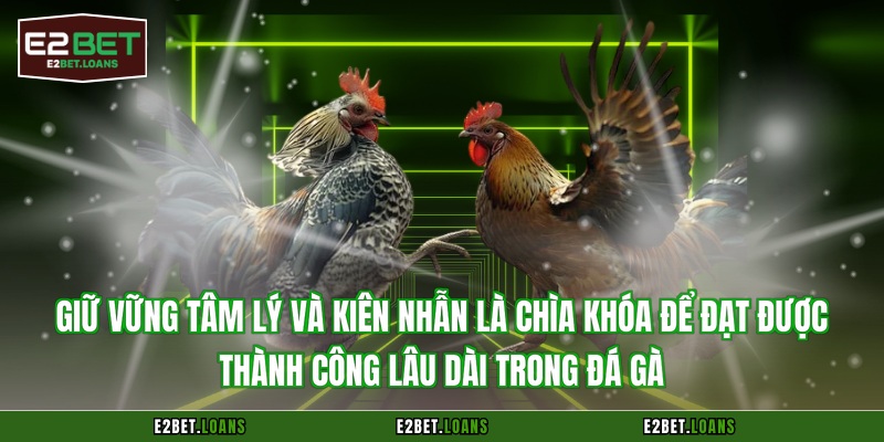 Giữ vững tâm lý và kiên nhẫn là chìa khóa để đạt được thành công lâu dài trong đá gà