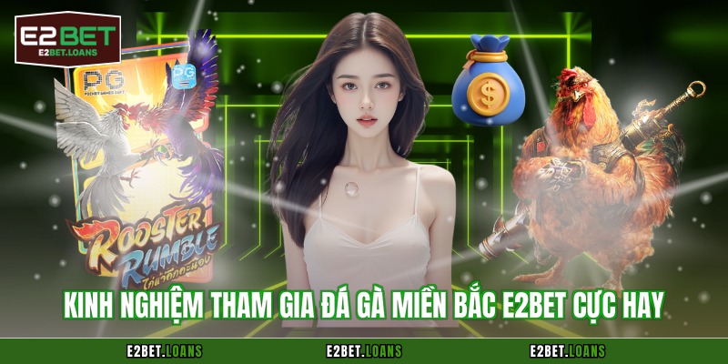 Kinh nghiệm tham gia đá gà miền Bắc E2BET cực hay