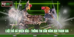 luật đá gà miền Bắc
