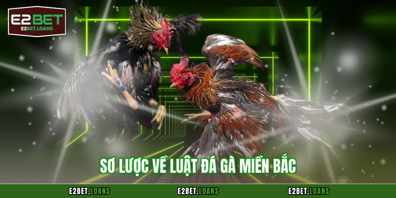 Sơ lược về luật đá gà miền Bắc