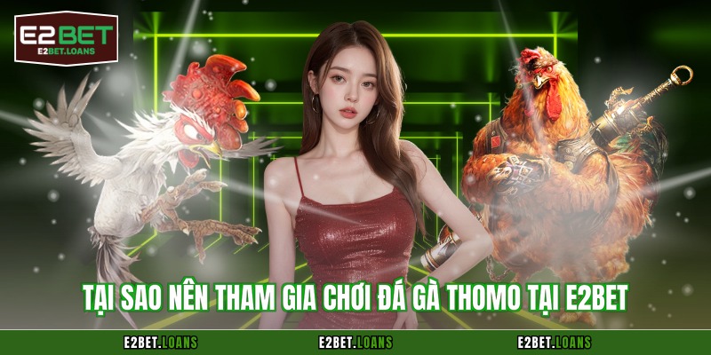 Tại sao nên tham gia chơi đá gà Thomo tại E2BET